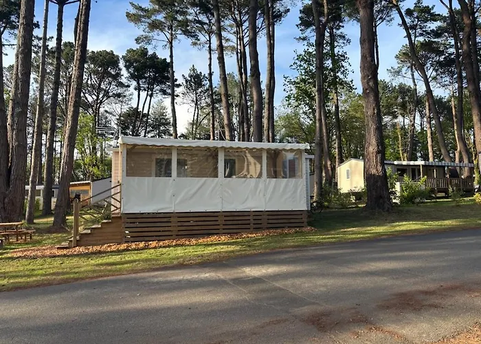 캠프장 Mobilhhome 4 A 6 Personnes Terrasse Couverte